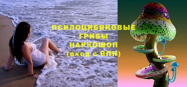 первитин Алексин
