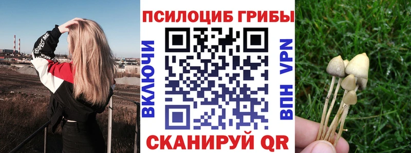 Псилоцибиновые грибы GOLDEN TEACHER  Нолинск 